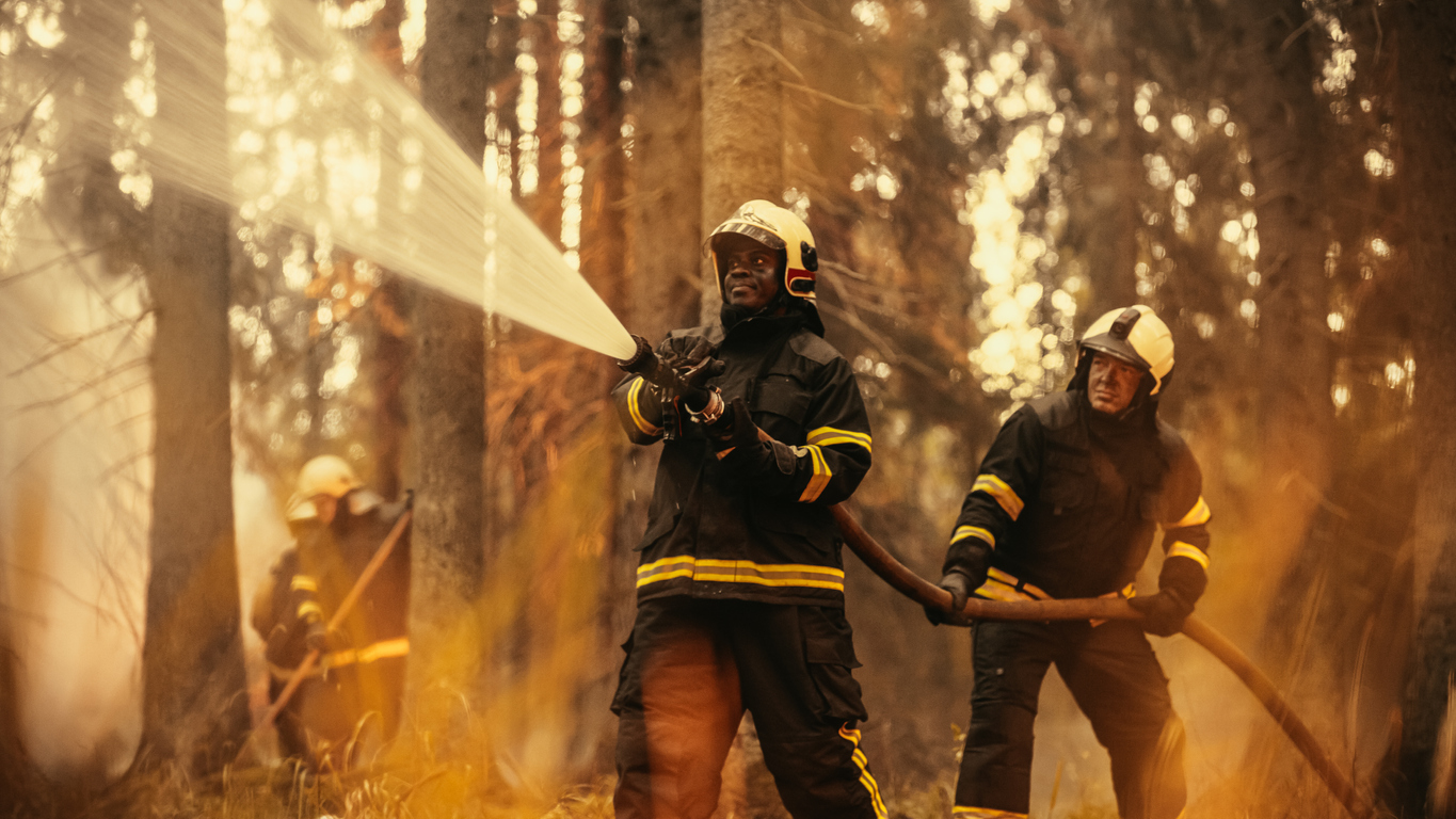 Transforming Disaster Response